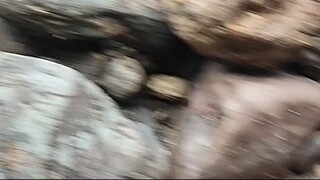 Duwali Fishing in Nepal | Fishing Technique in Small River of Nepal |