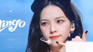 库洛珉可爱得头皮发麻！柳智敏Lingo 4K直拍