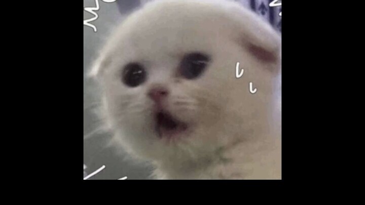 Here’s one more reason why I’m still single.