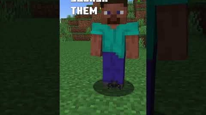 [Phụ đề tiếng Trung] Tôi đã thêm loài gián vào Minecraft 🪳