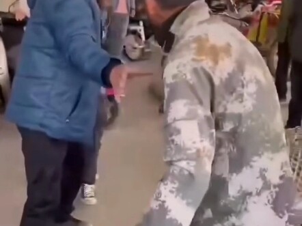 A little compilation of fights