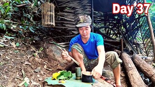 HÀNH TRÌNH THỬ THÁCH SINH TỒN MỘT MÌNH TRONG RỪNG | Tập 37 | HTV