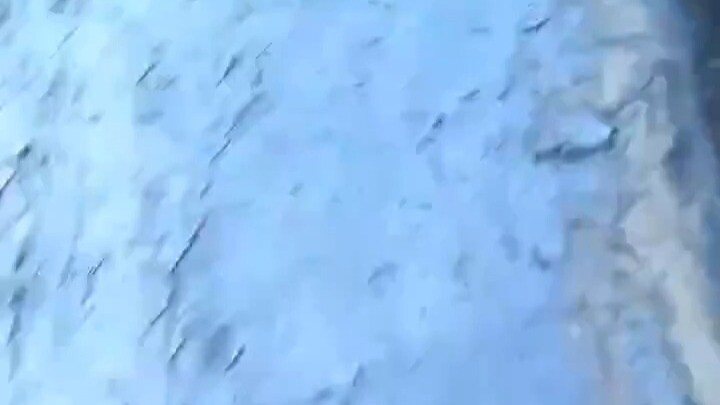 A Dubai guy accidentally dropped his recording phone into the sea while on a yacht vacation. However