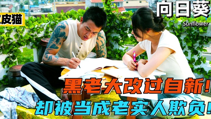 黑道大哥出狱后改过自新，却被过往兄弟欺负，无奈团灭黑帮！