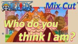 [ONE PIECE]  Mix Cut | Who do you think I am?