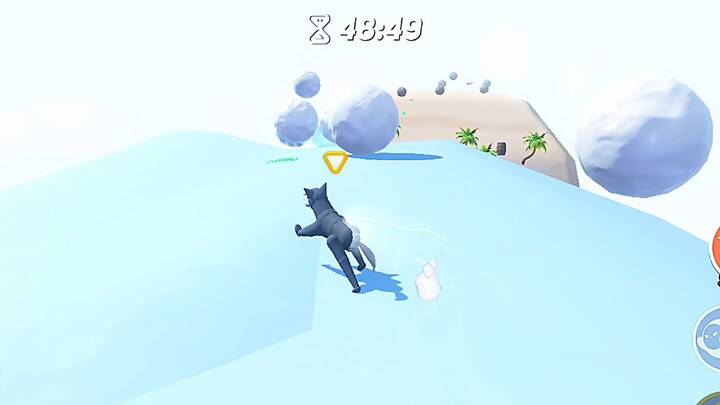 Wolf Cub Competition