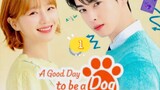A GOOD DAY TO BE A DOG EP1