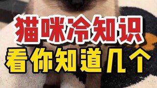 Berapa banyak fakta tentang kucing yang jarang diketahui yang Anda ketahui?