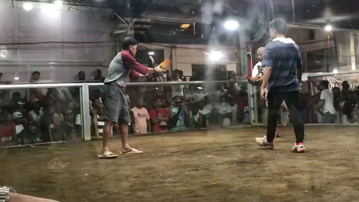 SWEATER LINE NI SHOWTIME