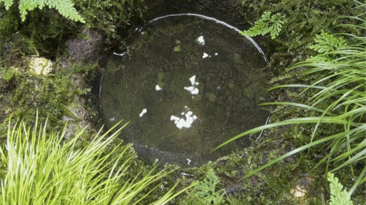 许久未清理自动续水了，今日好好清理下