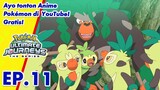Pokémon Ultimate Journeys: The Series | EP11 | Pokémon Indonesia