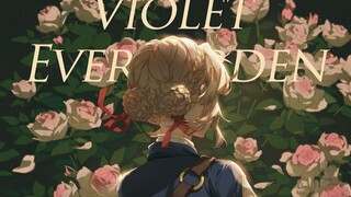 ｜“薇尔莉特，以花之名写下永恒”｜《𝐿𝑜𝑠𝑒 𝑌𝑜𝑢 𝑁𝑜𝑤》
