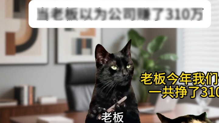 When the boss thought the company made 3.1 million