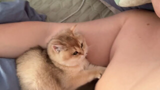 เหยียบนมจริงๆ นะ!