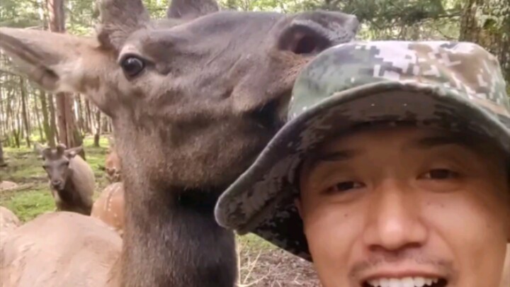 Check out how much these baby animals love being tickled!