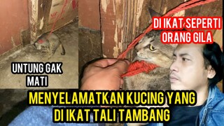 Menyelamatkan Kucing Sakit Syaraf Yang Di Ikat Pake Tali Tambang..!