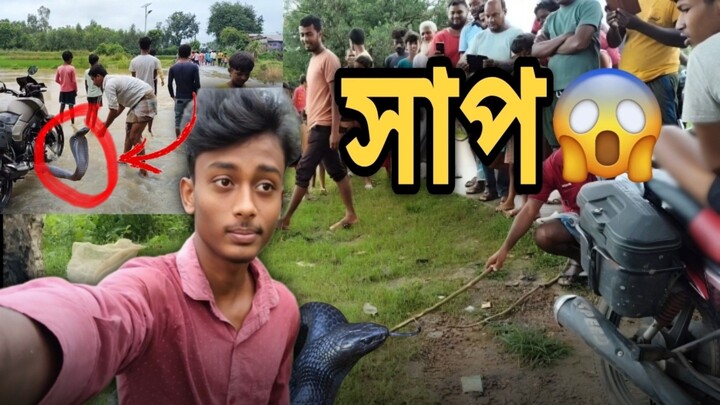 dangerous snake 🐍⛎