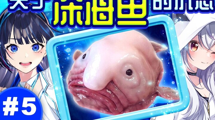 Câu hỏi và câu trả lời từ Biển sâu! Hãy đến và đắm mình trong việc ngắm cá biển sâu [Xin chào~Nước s