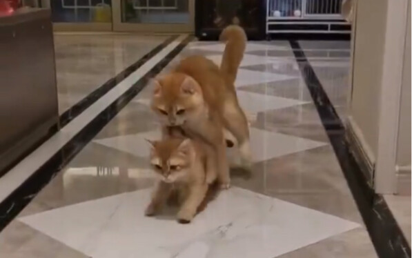 No matter how old your child is, your mom will always be your mom.