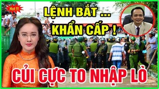 Tin tức nóng và chính xác 29/08||Tin nóng Việt Nam Mới Nhất Hôm Nay/#tintucmoi24h