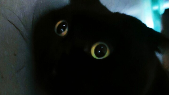 Qian Suisui, you can't just eat your fill and then do nothing! Got it?