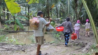 Cùng Gia Đình Lội Bộ Hơn Cây Số Để Làm Cho Được Món Giò Heo Giả Cầy| TKQ & Family T801