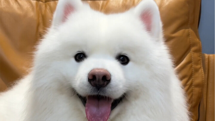 Wishing you all the best in December!