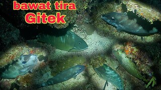 ep375.Dive1surahan at tapasan bawat tira gitek night spearfishing Philippines