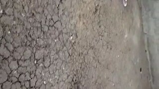 3 Sisters GF 12/10/23 Spar