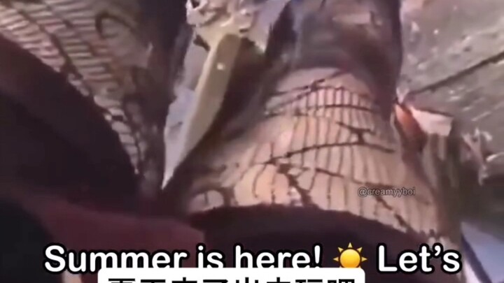 看完不笑就会变成两厘米的memes