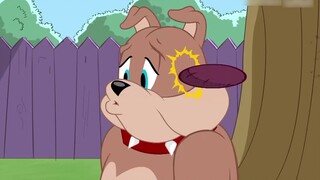 Không có sự truy đuổi của Tom, Jerry cảm thấy rất cô đơn!