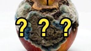 Spend 10 years of your life to get an infinite spray—what’s your choice?