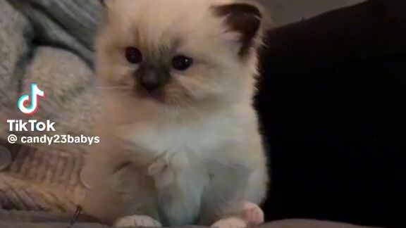 ,😘😘♥️♥️