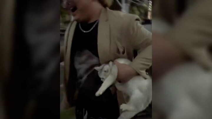 القطة: أكره أكثر ما أكره الأشخاص الذين لا يعرفون حدودهم!