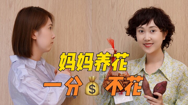 0💰 สอนวิธีดูแลต้นไม้แบบคุณแม่สายเขียว สร้างป่าเล็กๆ ได้ง่ายๆ!