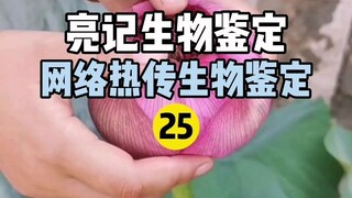 【Liangji Bioassay】Internet Hot Biological Assay 25