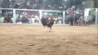 win