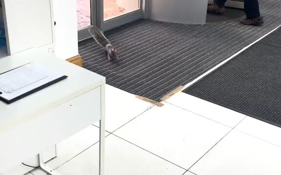The little guy just wants to get out