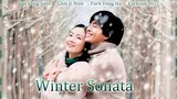 Winter Sonata The Series Episode 6 (Indosub)