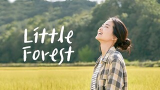 (K-Movie 2018) SUB INDO LITTLE FOREST