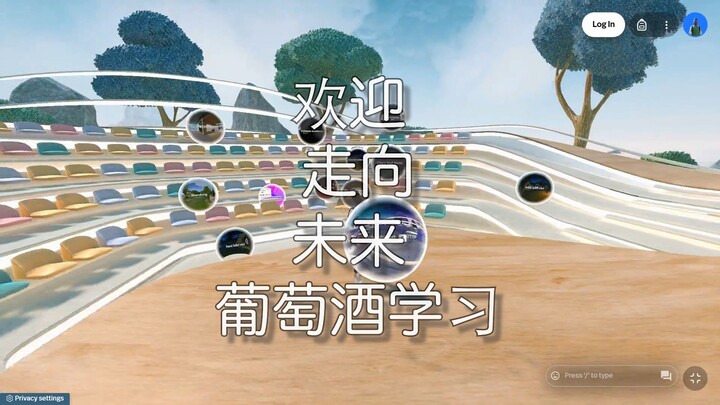 中国元宇宙