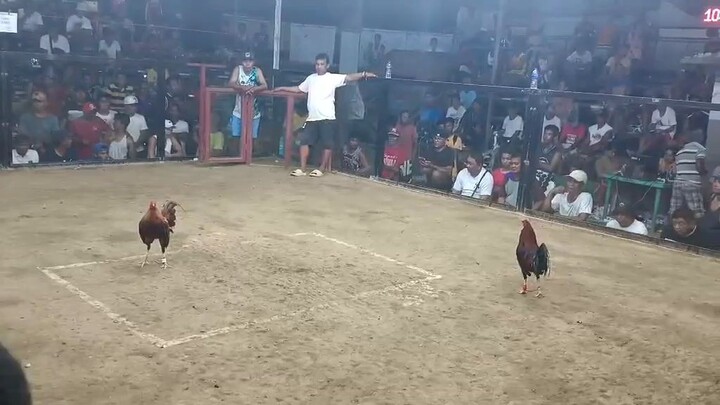 2nd fight win Talogtog cockpit