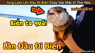 Rái cá Lần Đầu Đi Biển và Cái Kết Chạy Sấp Mặt || Review Giải Trí Đời Sống