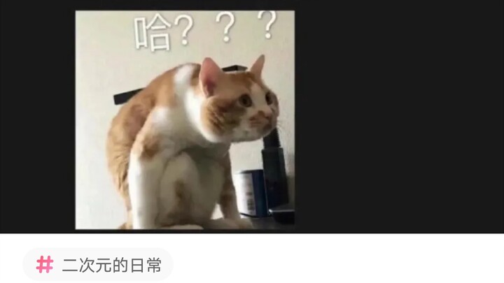 Cute Netizen's Strange Comments