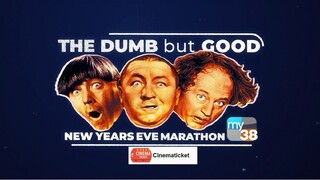 Three Stooges "New Years Eve Marathon"
