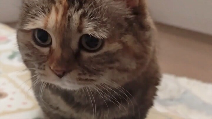 Hello, share some of your blanket with me.