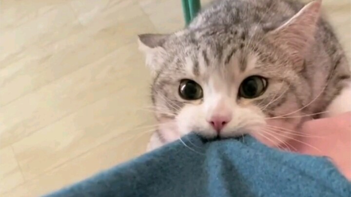 It’s so cute even when it bites me