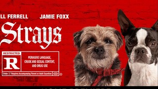 Strays Watch Full Movie : Link In Description