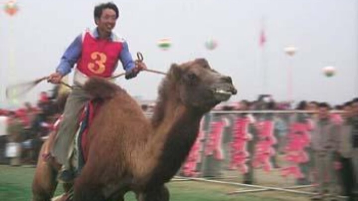 الإمبراطور ليو تايتسونغ ييلو دهقوانغ يتزلّج على الجمل: انضم إلى سباق الجِمال واختبر متعة الهروب من ف