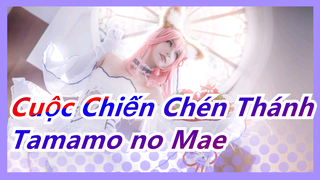 [Fate/Grand Order/Cos] Tamamo no Mae/Yamashita Tomohisa/Tôi hứa nội dung hay hơn hình bìa!